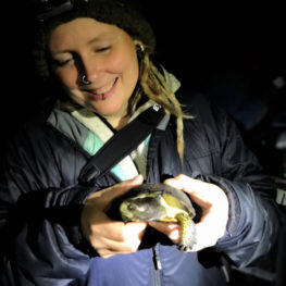 Chris is meeting more than birds this spring and summer! Here's her first encounter with a western pond turtle, during an evening of monitoring with members of the park's wildlife team.