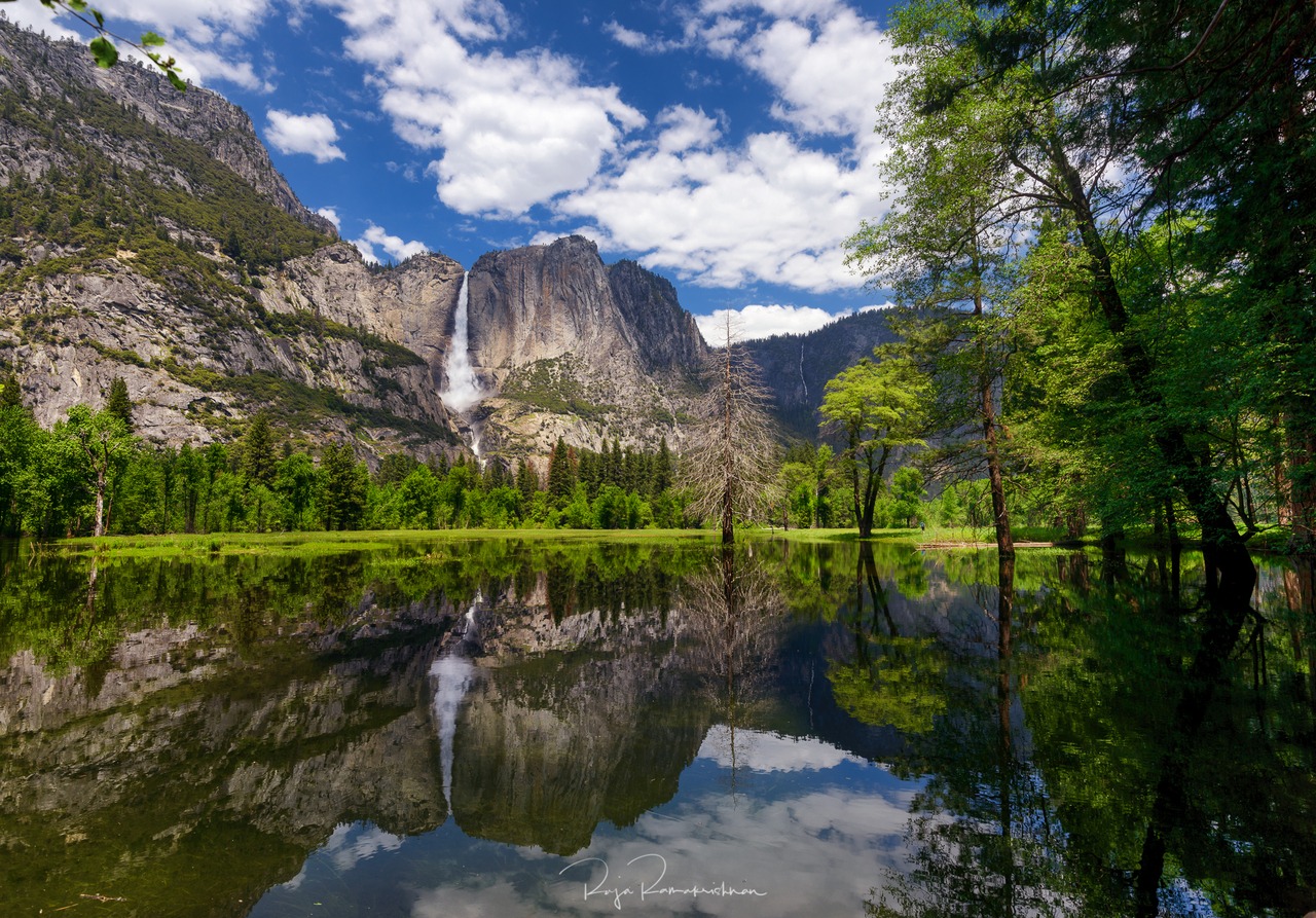 Thank You! — Yosemite Conservancy