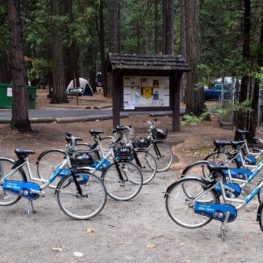 Offer park visitors an eco-friendly alternative to driving for quick trips in Yosemite Valley, while reducing road and parking-lot congestion. Photo: Yosemite Conservancy/Ryan Kelly