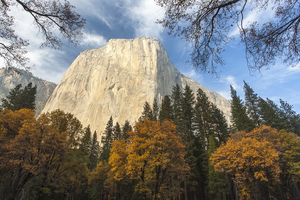 Lying on my back in the meadow beneath El Capitan, staring up at the massive monolith, I can’t help but think about the concepts of size and scale. It is difficult to contemplate a feature so large, but there it is, right in front of me. Rising 3,300 feet (1,006 m), one of the largest exposed granite formations in the world, El Capitan dwarfs the surrounding landscape and is the Valley’s commanding presence. Its sheer face was shaped by the long-gone glaciers that slid slowly past and eroded the rock bit by bit, burnishing it smooth. Extremely hard and minimally fractured, El Capitan lures rock climbers from around the globe, eager to test their physical and mental strength against its smooth, unforgiving surfaces and overhangs. I have spent more time photographing El Capitan than any other feature in Yosemite. Not only can it be viewed from multiple angles and perspectives, its face receives some of the Valley’s most beautiful early-morning and late-afternoon light. Several vantage points are earmarked in my internal guidebook, and fresh snow, fall color, or a clearing storm unfailingly draws me back to them.⁣