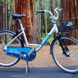 A Yosemite Bike Share bicycle, with a helmet in the basket, on a paved path in Yosemite Valley. A wooded forest with giant sequoias is in the background.