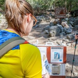 Person in yellow shirt on a hiking trail stops to read a signboard about peregrine falcon closures