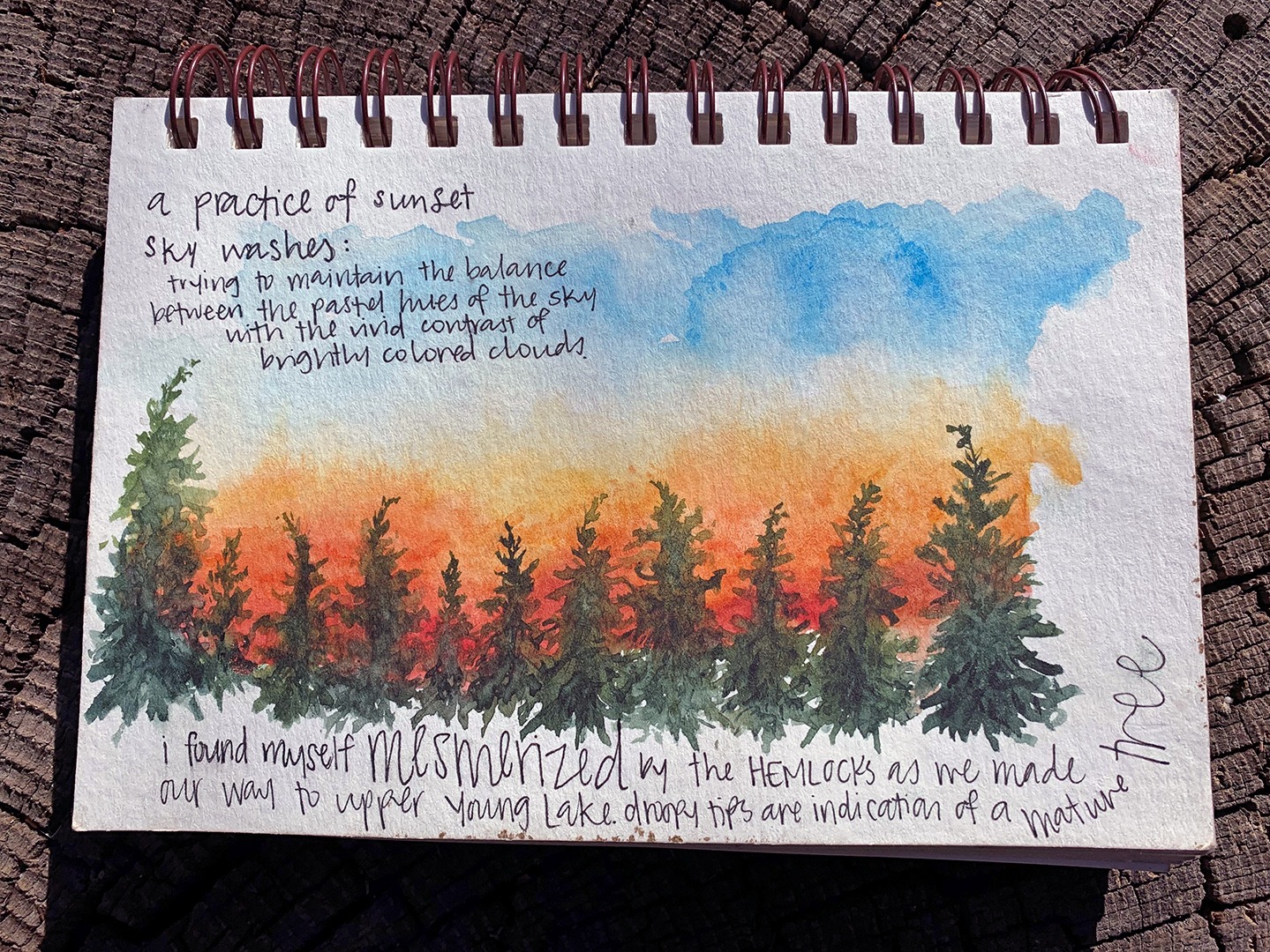 Nature Journaling and Sketching: Tips for Birders
