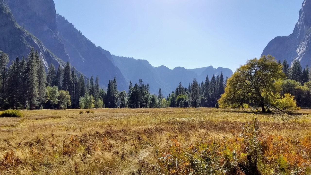 Bike Share Behind the Scenes — Yosemite Conservancy