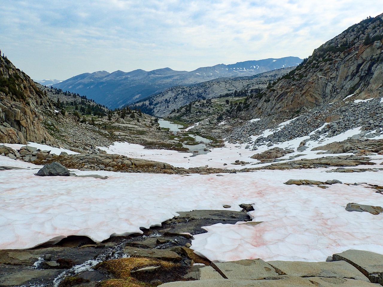 A landscape photo showing the view from near Mt. Lyell, in eastern Yosemite National Park, looking out over a snow field toward distant mountains. The snow is streaked with pink algae.