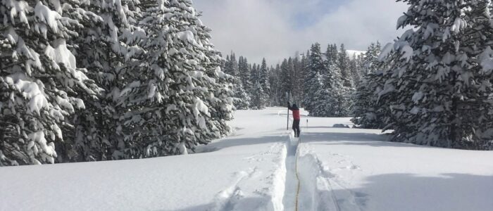 A winter ranger measures the depth of snow in Yosemite's high country in January 2021. The ranger is shown standing in depe snow, surrounded by snow-covered conifer trees. Photo: NPS/Laura and Rob Pilewski.