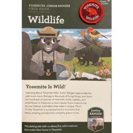 Wildlife Guide to Yosemite, Ranger Squirrel pointing out different animal species