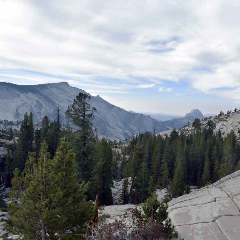 Tioga Road Tips — Yosemite Conservancy