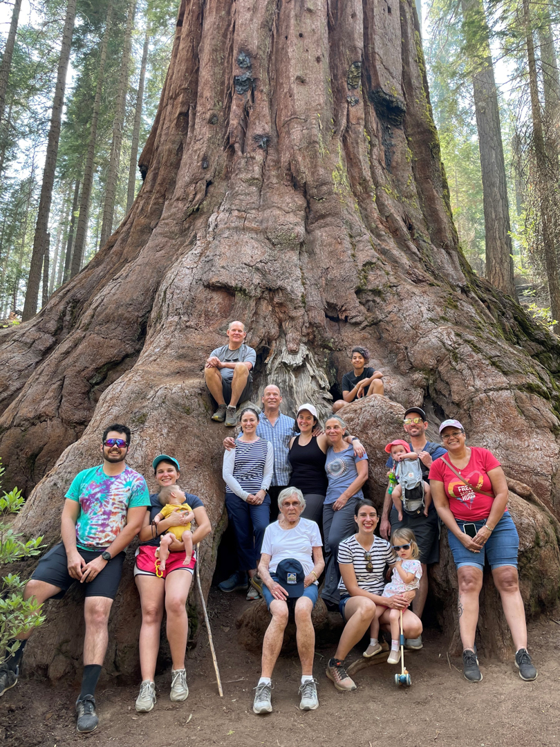 Pam Starr sitting with her family under a giant sequoia.
