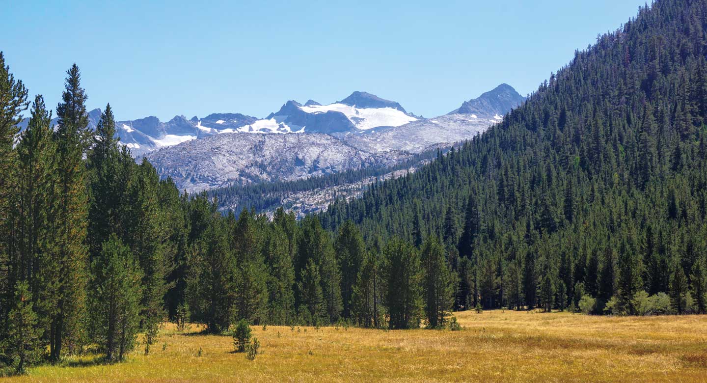 Half Dome Webcam | Yosemite Conservancy