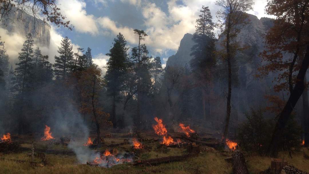 Pile burning takes place during a prescribed burn in Yosemite Valley.