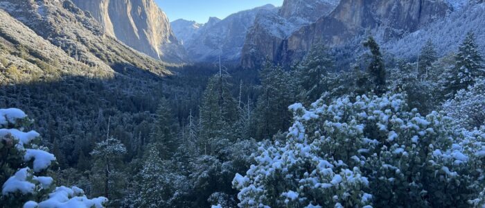 Conditions Round Up Yosemite In Winter Yosemite Conservancy   IMG 1755 700x300 