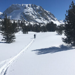 See a lone skier returning on ski tracks through a snowy mountainous landscape. The skier is carrying snow measurement equipment to see how much snow will flow from the Sierra later this year and potentially flood Yosemite Valley. 