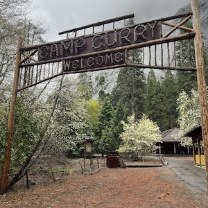 Supporters of Yosemite can donate when they stay at lodging in and around the park including spaces such as Curry Village seen here with their famous wooden archway that reads Camp Curry Welcome. Beyond the archway we see dogwood trees blooming and buildings. 