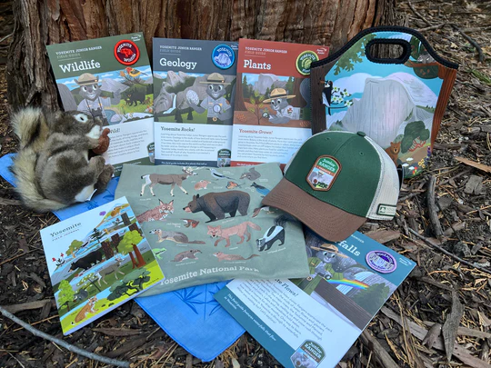 Yosemite Junior Ranger merchandise arranged in a display next to a tree trunk: a hat, lunch box, t-shirt, plush animal, bandana, and field guides. 
