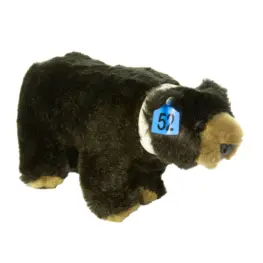 Image of a very cute black bear plush