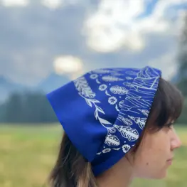 Image of person turning to the side wearing a blue bandana with illustrations of Yosemite Valley on it.