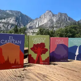 Photo of 4 Yosemite Icon books in yosemite valley