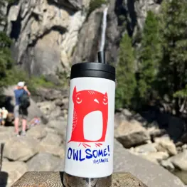Photo of a white reusable water bottle that says "Owlsome! Yosemite" with a cute red illustration of an owl