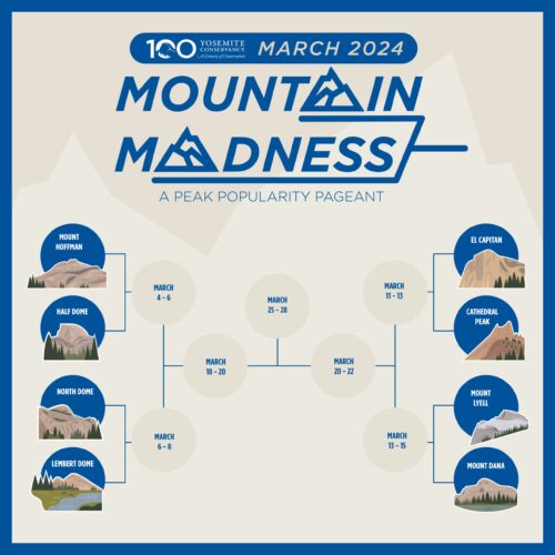 March Mountain Madness Master Bracket showing the 8 peaks battling to become the Most Valued Peak in 2024