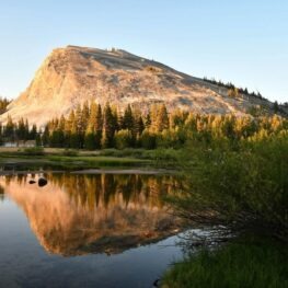 Lembert Dome reflecting in the Tuolumne River at sunset.