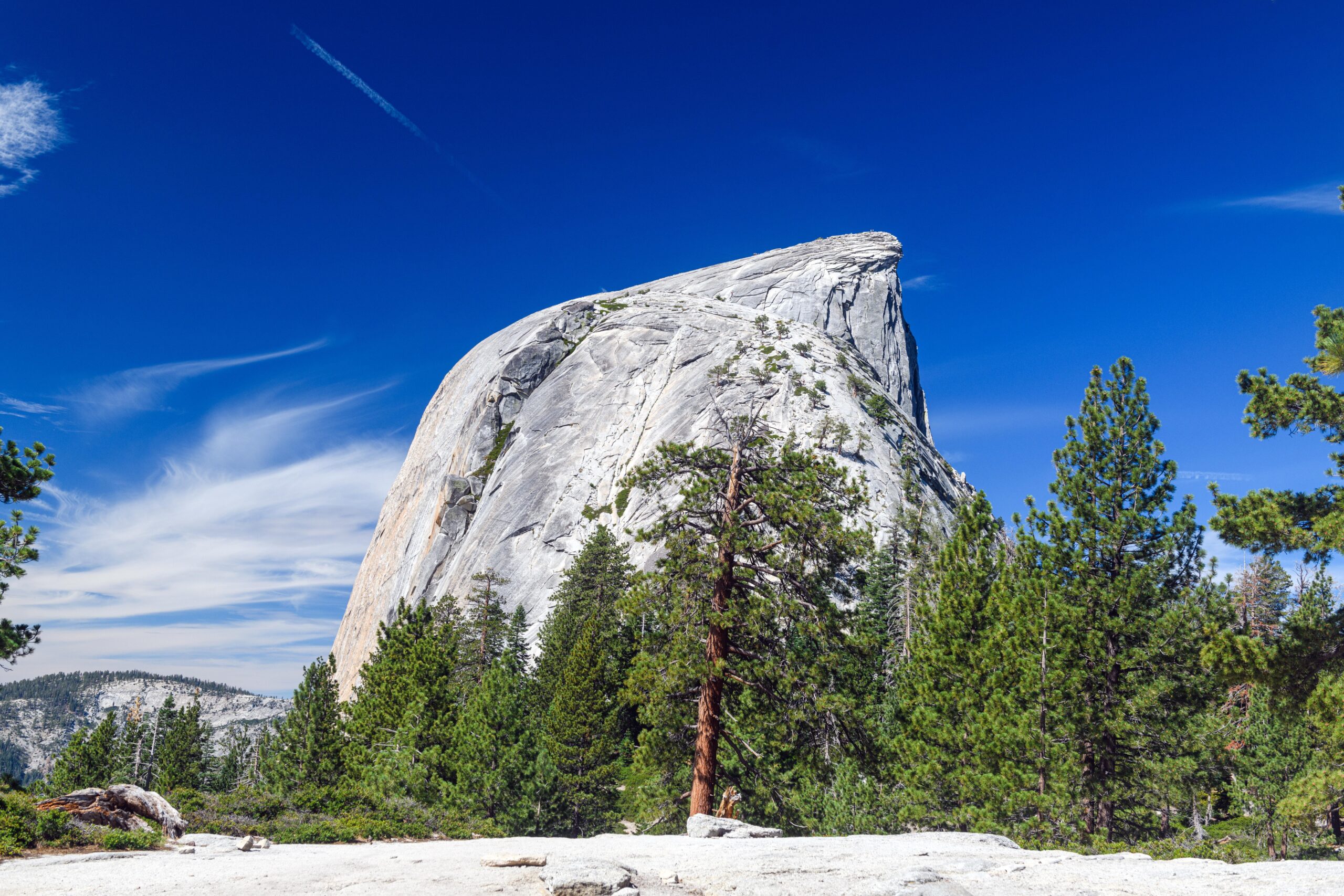 Photo of half dome from the side on a sunny day with trees