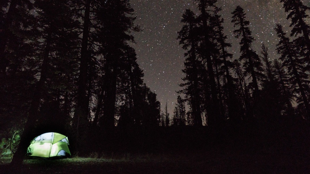 A green tent is set up in a dark forest. There is a light on inside the tent, and a starry night sky is visible through the trees.