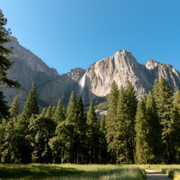 photo of a waterfall cascading down a cliff side with trees and meadow in the foreground on a sunny blue sky day Yosemite during the government shutdown still has beautiful waterfalls