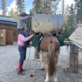 photo of two people, one of which sitting on the shoulders of the other, loading up a mule with trees in the background