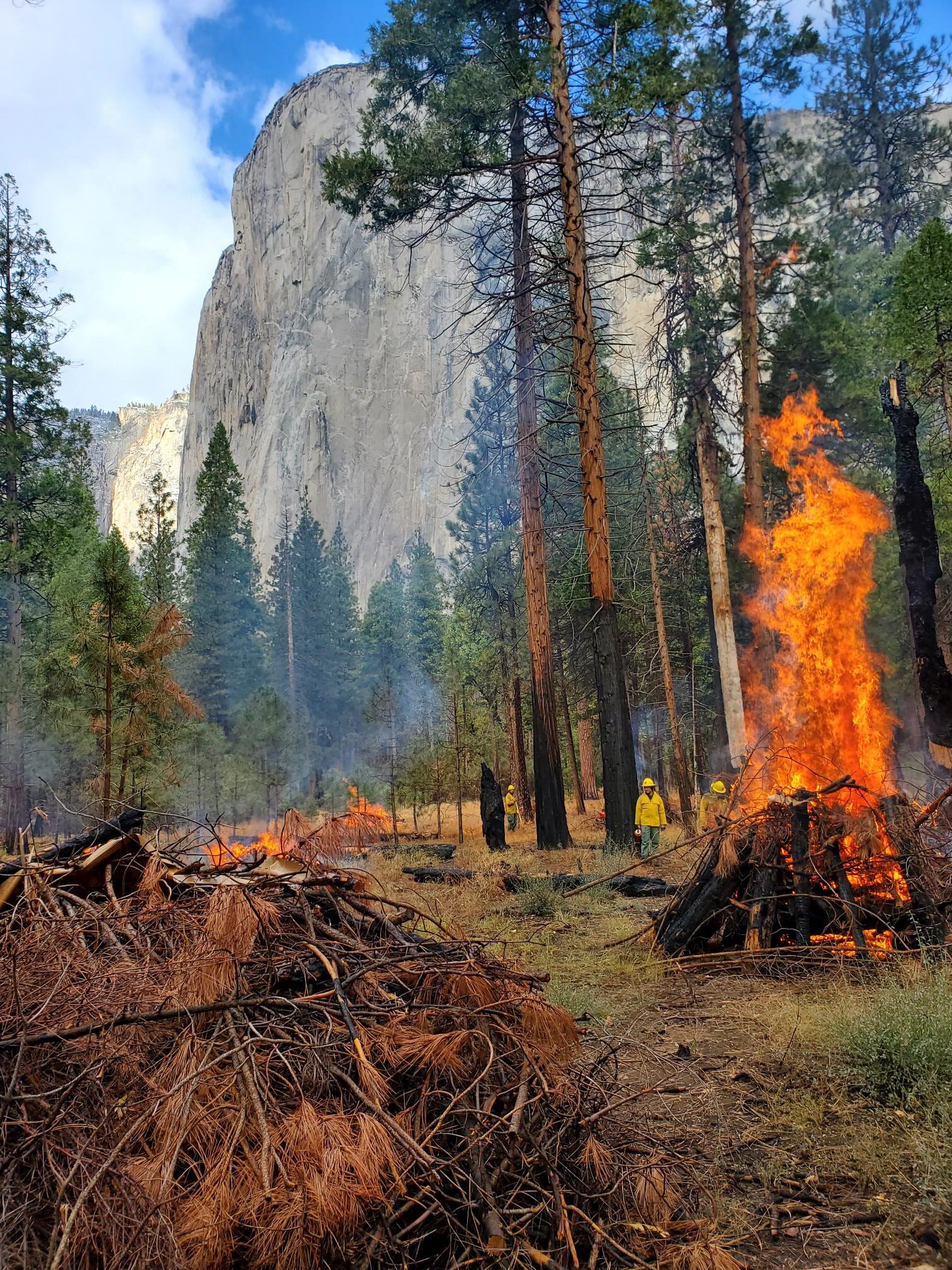 Little Fires crew members burn carefully constructed piles of wood and brush in Yosemite Valley.