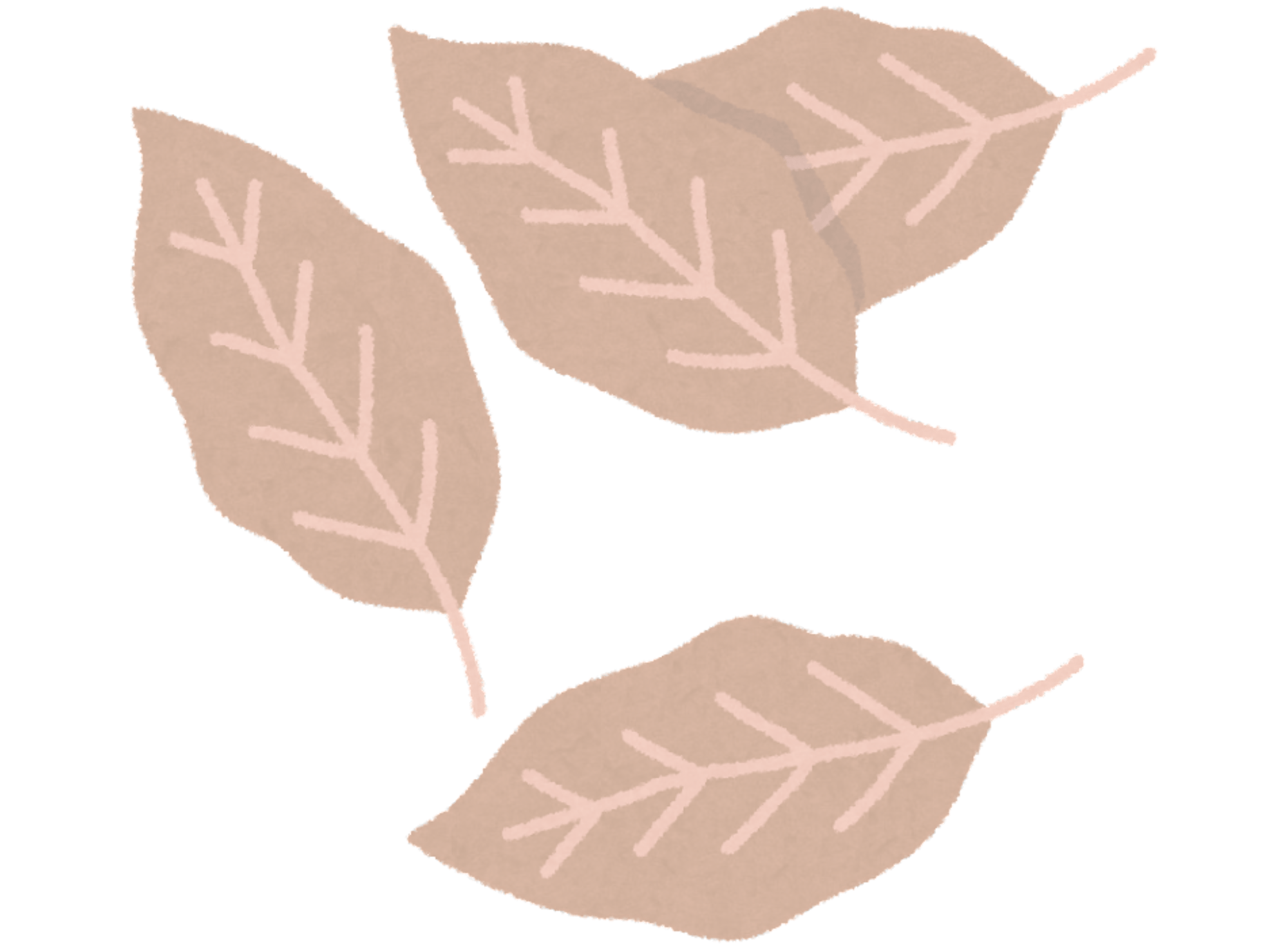 Icon of autumn leaves.