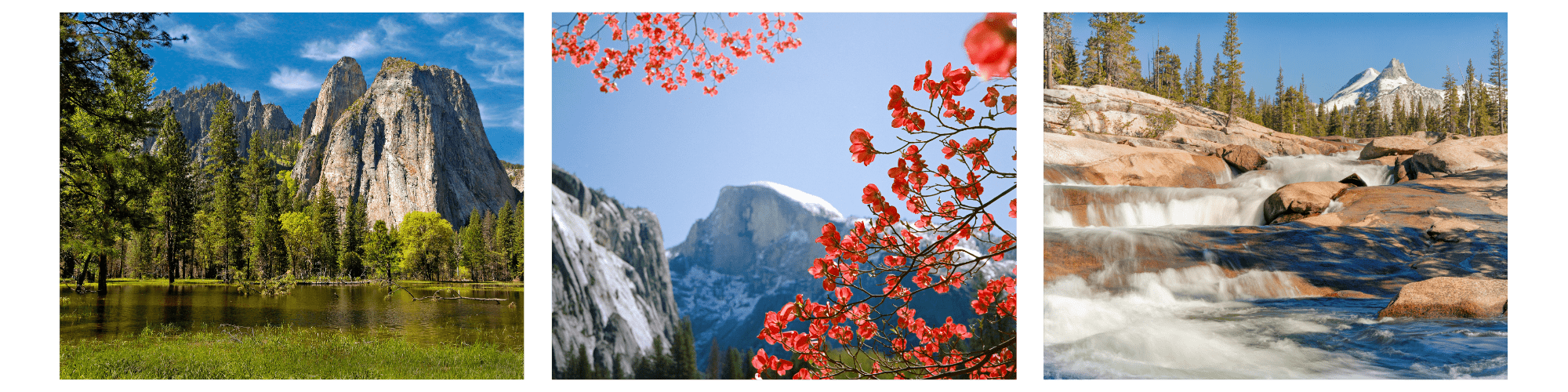 Spring, one of the best times to visit Yosemite. Photos of Yosemite in spring (left to right): lush, green vegetation surrounds striking rock formations and an overflowing river; bright red flowers frame a still snowy Half Dome; A river surges through rocky terrain, with high country peaks in the background.