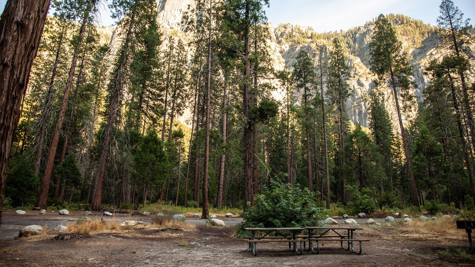 A picnic table sits surrounded by tall trees and granite cliffs -- the perfect place to slow down in Yosemite.