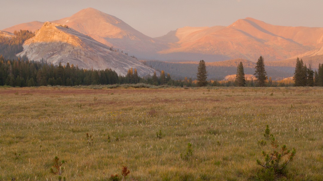Evening glow hits a summery meadow. Trees and tall mountain peaks border the meadow in the distance.