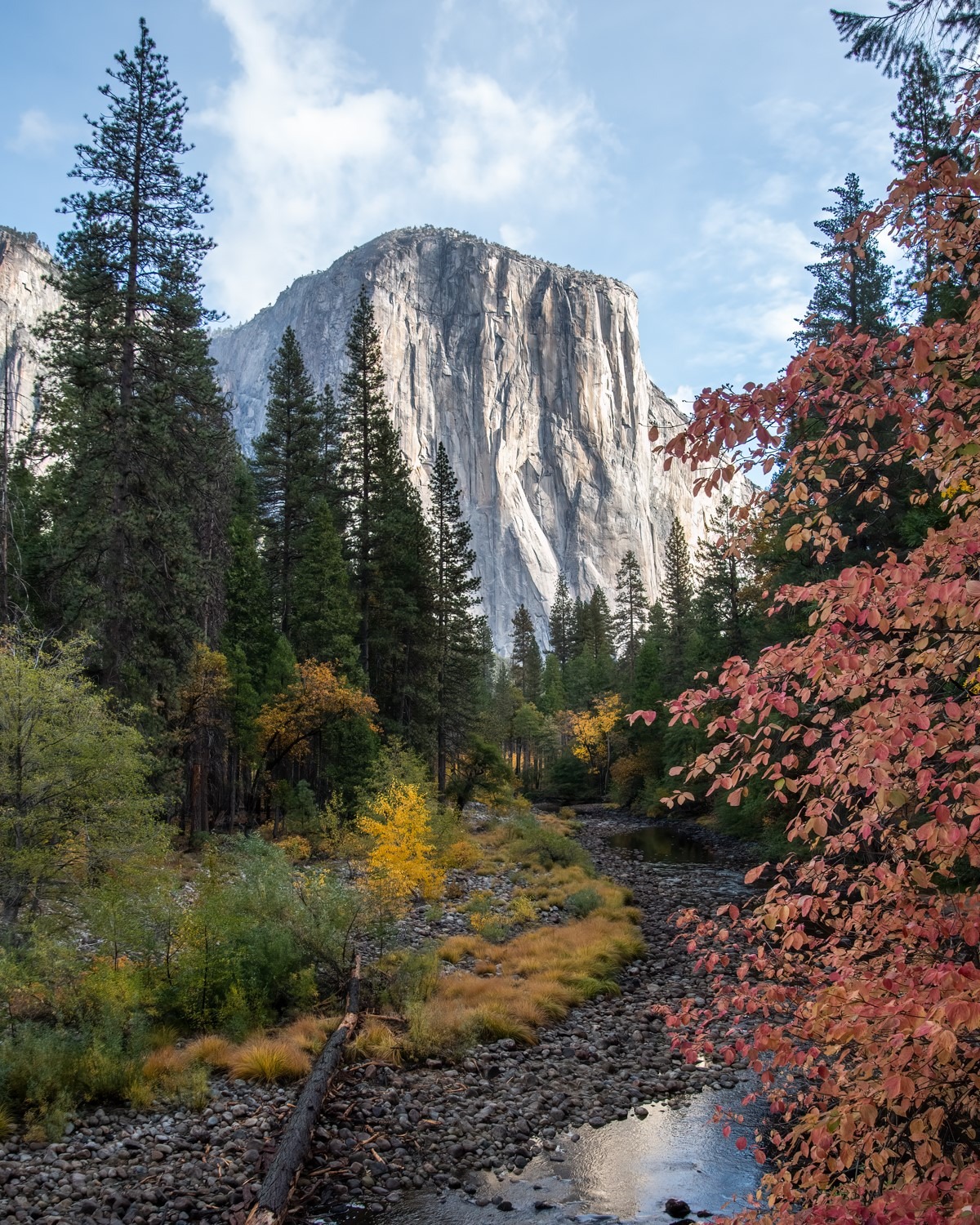 Fall colors and a creek at the base of El Capitan in Yosemite National Park.