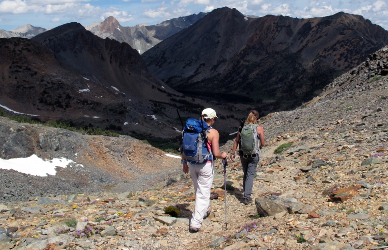 The bighorn survey crew hiked from Virginia Lakes to search for sheep near Yosemite's northeastern edge.