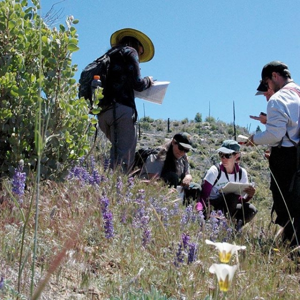 Credit: Yosemite Conservancy
