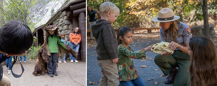 Every summer, kids head to Happy Isles to learn about Yosemite through Junior Ranger Programs. As part of their path to earning a badge and taking the oath to 
