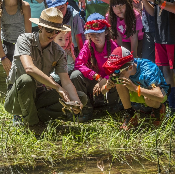 Young students joined rangers to help release western pond turtles in Yosemite Valley. Photo: © Al Golub. 