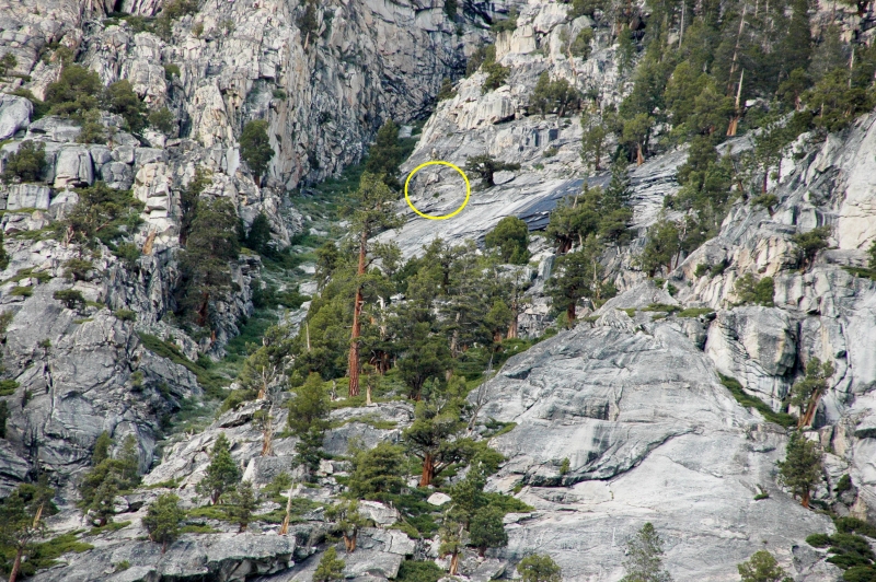 Bighorn sheep, bigger cliff. The yellow circle shows the location of a ram, almost invisible against a granite backdrop. Photo: © Yosemite Conservancy.