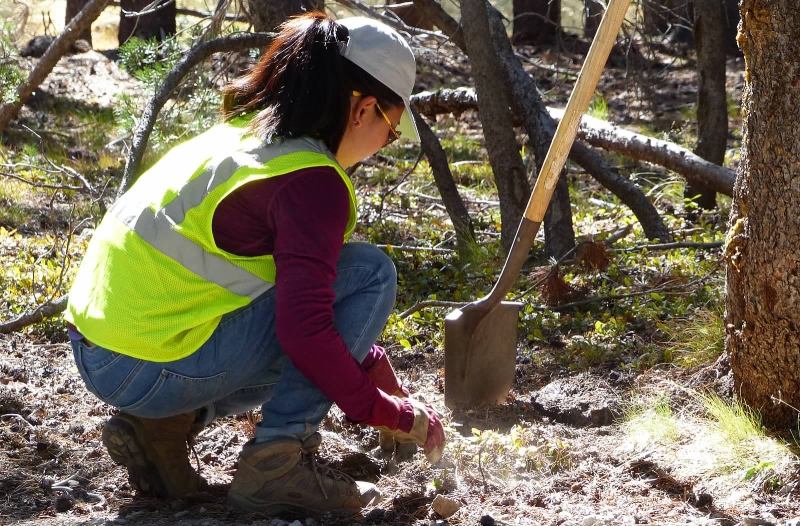 Employees from Capital Group, a longtime Yosemite Conservancy supporter, have spent weekends helping with trail and habitat restoration. Photo: Steven Matros.