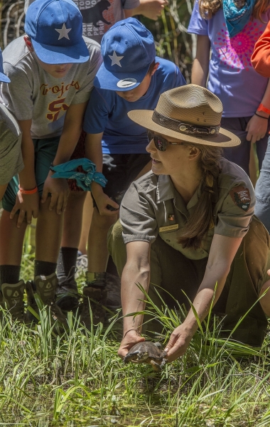 A Yosemite ranger, assisted by some budding biologists, prepares to release a western pond turtle in the Merced. Photo: Al Golub.