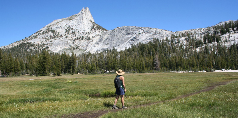 Fans of the blog might recognize this shot as the cover photo for our first Field Notes post, back in 2015! The mystery hiker gazing at Cathedral Peak: our very own Schuyler Greenleaf. Photo: Yosemite Conservancy/Jennifer Miller