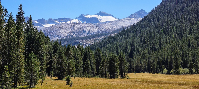 Above: Yosemite's idyllic Lyell Canyon (photo: Ted Hunting). Below: Crew members transform a former section of the John Muir Trail into healthy meadow habitat.