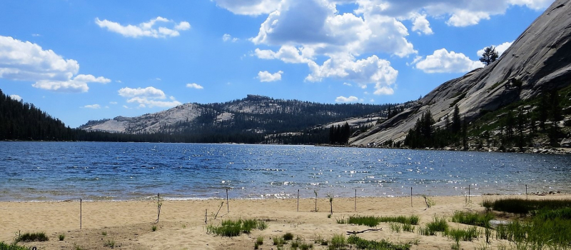 Above: The restored eastern shore of Tenaya Lake (photo: Yosemite Conservancy). Below: Visitors head to the lake's western shore using a new raised boardwalk.