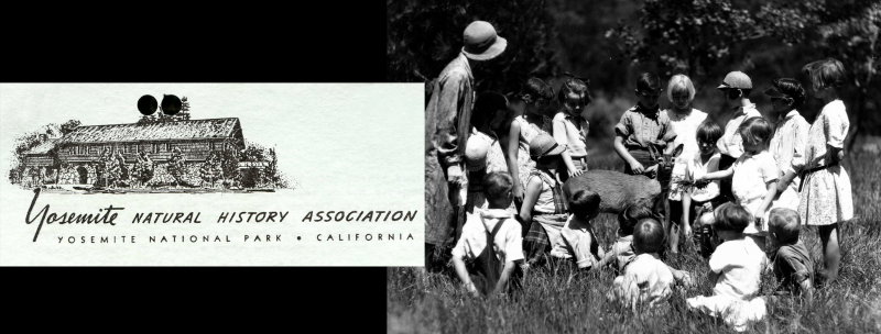 The Yosemite Natural History Association's roots in the park's museums were inked into the logo, seen here in 1945 letterhead that was featured in the 2016 donor-funded 