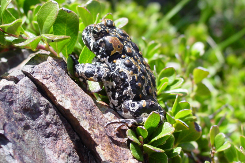 Photo: NPS/Rob Grasso