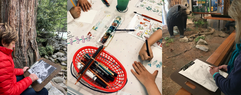 Scenes from Happy Isles: a plein-air charcoal class, kids getting creative with watercolor and field guide cards, and a workshop participant drawing on the center's wildlife diorama for inspiration. Photos: Patti Johns Eisenberg (left), Vanna Barcelos (middle), Kristin Anderson (right)