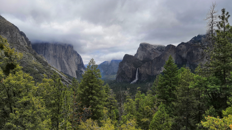 What a view! As snow lingered at higher elevations, Chris and her fellow volunteers spent some time exploring spring scenery beyond the banding stations.