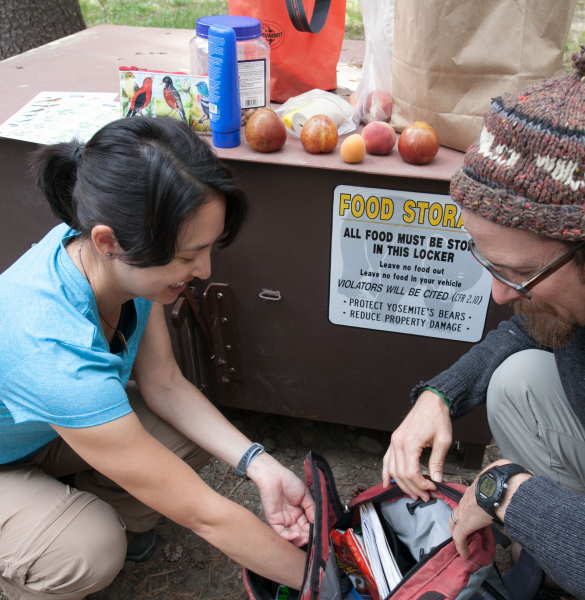 No-trace tip: Use bear-proof food lockers to store your snacks and scented items. Photo: Keith Walklet.